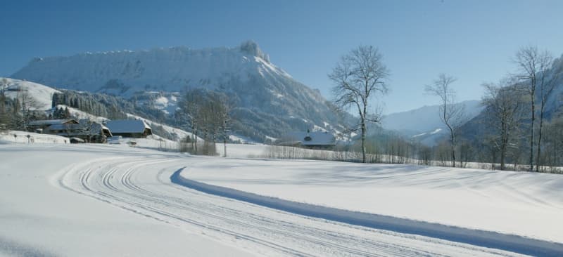 Langlaufschule Emmental Entlebuch Berner-Oberland