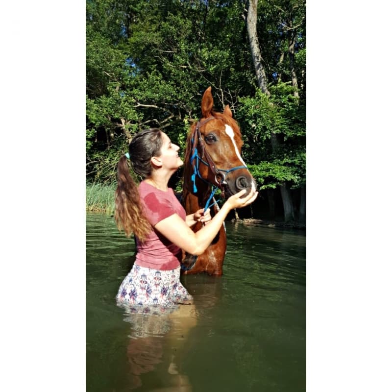Suche Reitbeteiligung Raum TG Frauenfeld