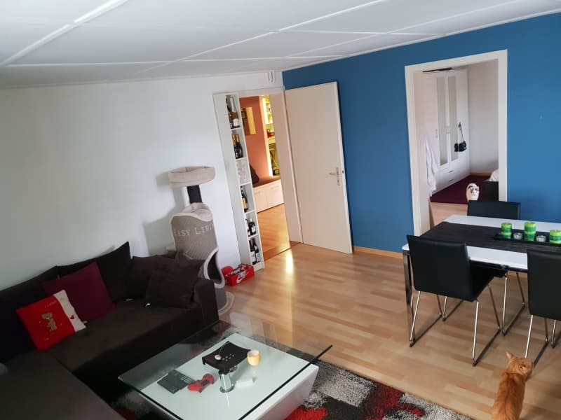 Günstige grosse 2-Zimmer-Wohnung