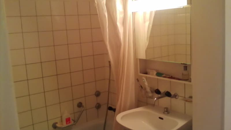 Mobilierte 1.5 Zimmer Wohnung in Zürich - Altstetten