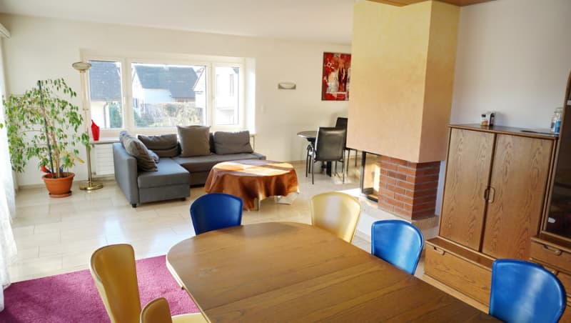 Private Rooms in comfortable guest apartment on 200 m2 near Baden
