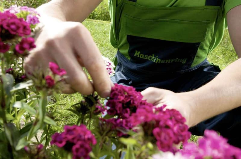 Landwirte erledigen für Sie Rasenpflege und Gartenarbeiten