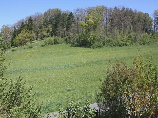Sonnige Dachwohnung mit Weitsicht in Ettingen