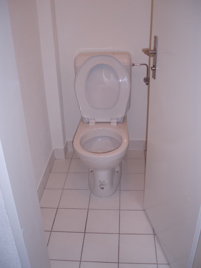 Nähe Idaplatz/Lochergut – Schöne 3-Zwg. mit Wohnküche/kl. Balkon
