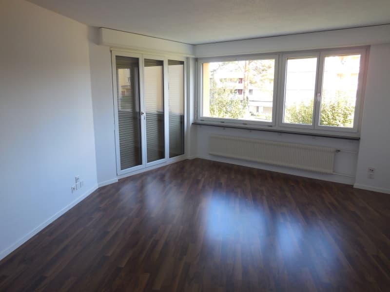 Olten: 4.5 Zi-Wohnung an ruhiger Lage