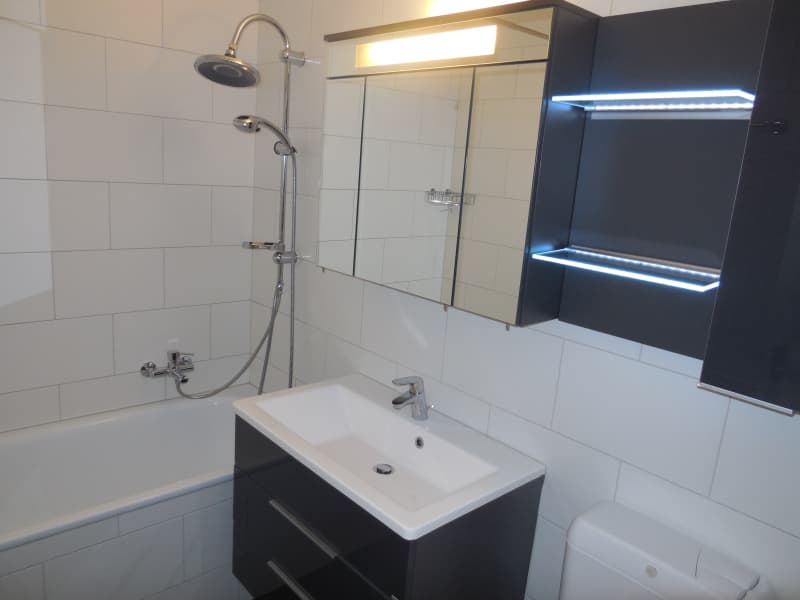 Olten: 4.5 Zi-Wohnung an ruhiger Lage