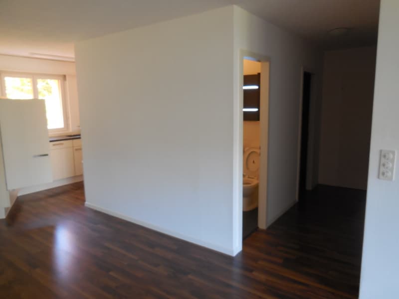 Olten: 4.5 Zi-Wohnung an ruhiger Lage