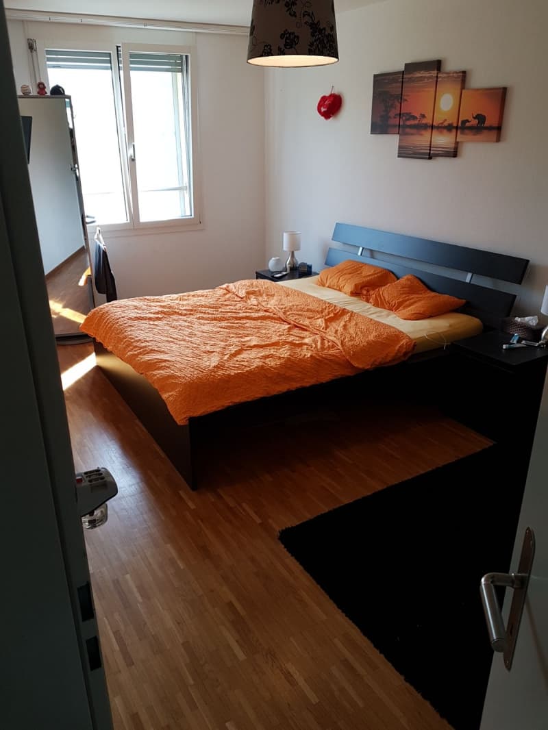 Nachmieter gesucht für 3.5-Zimmer Wohnung an ruhiger Lage