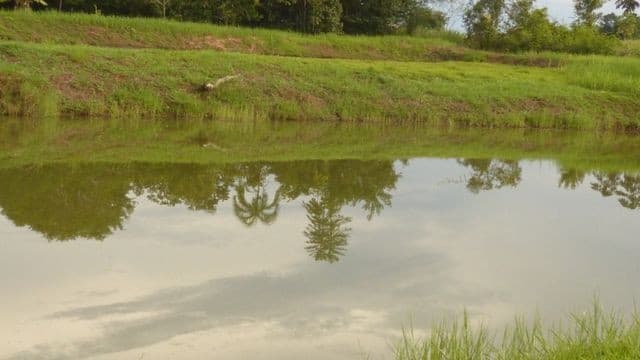 Brasilien 70 Ha Fischzucht in der Nähe von Manaus AM