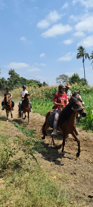 Reiterurlaub auf Peruanischen Pasopferden im Norden von Peru