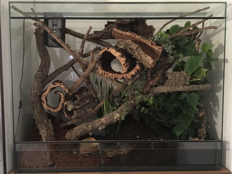 Glas-Terrarium 150x50x120cm (LxBxH) zu verkaufen