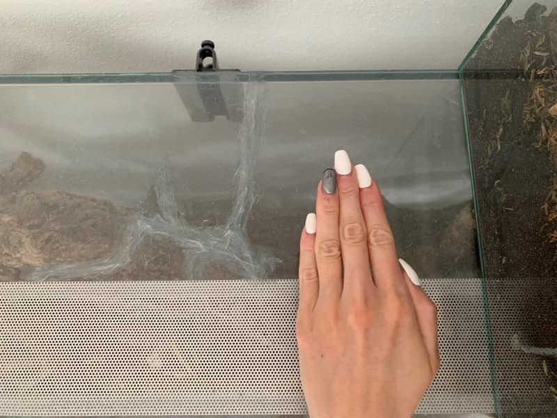 Glas-Terrarium 150x50x120cm (LxBxH) zu verkaufen