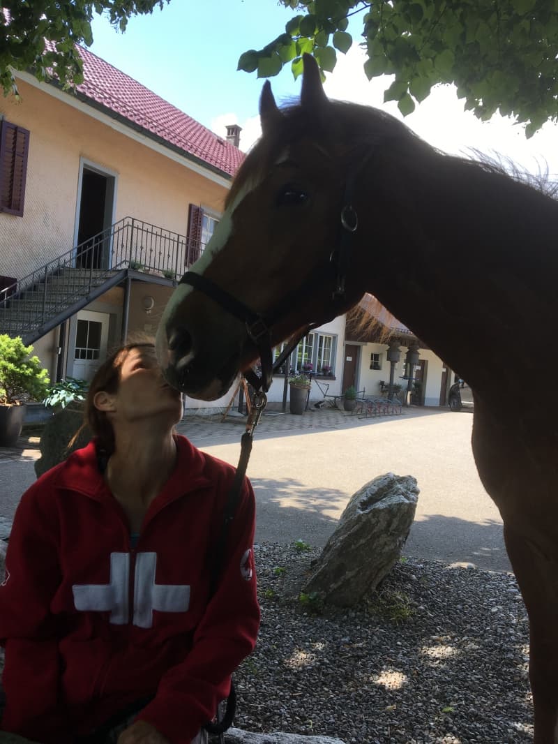 Biete Reitbeteiligung