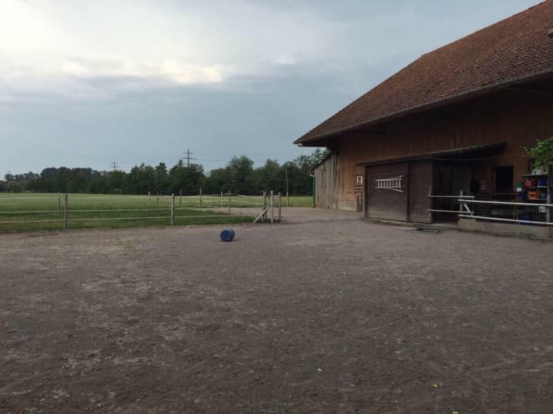 Doppelauslaufboxe in Gisikon zu vermieten