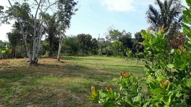 Brasilien 16Ha grosses Tiefpreis Grundstück Region Manaus AM