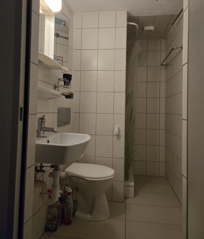 Frisch renoviertesStudio im Zentrum von Steckborn TG zu vermieten