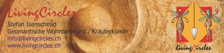 Die 4 Musketiere / Starke Frühjahrskräuter hautnah erleben