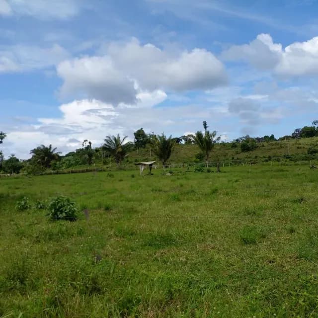 Brasilien riesengrosses 5'150 Ha Farm in der Nähe von Presidente