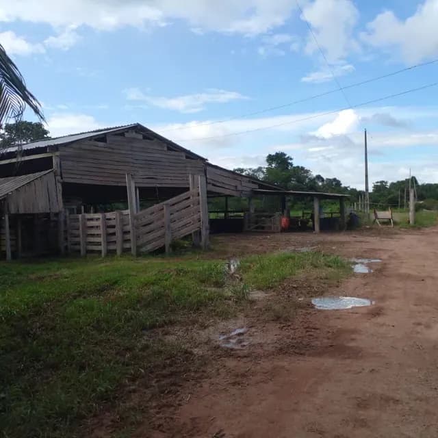 Brasilien riesengrosses 5'150 Ha Farm in der Nähe von Presidente