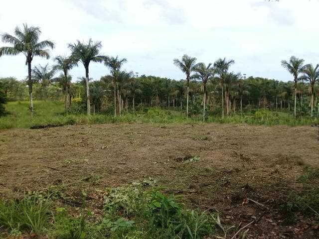 Brasilien riesengrosses 5'150 Ha Farm in der Nähe von Presidente