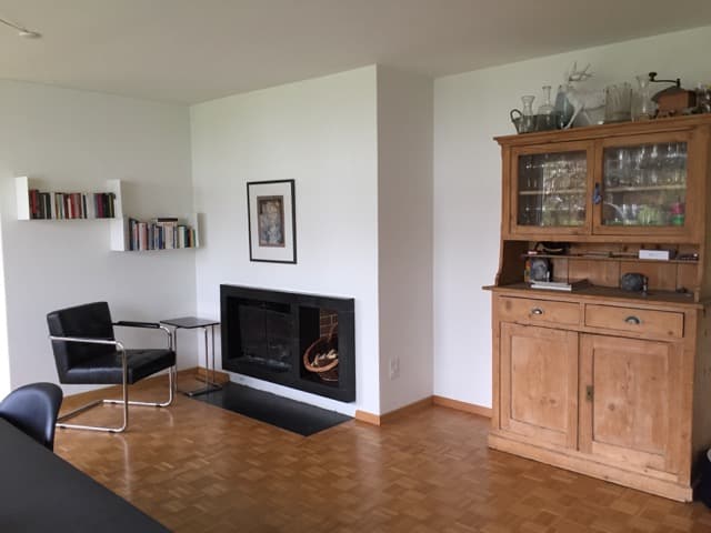 Grosses lichtdurchflutetes Doppeleinfamilienhaus