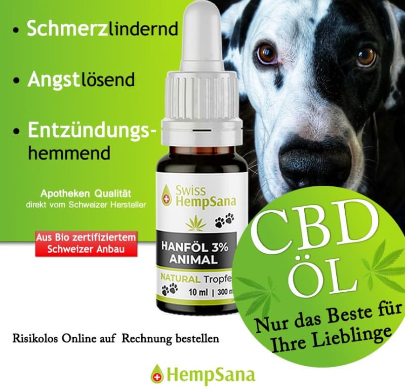 CBD für Hunde