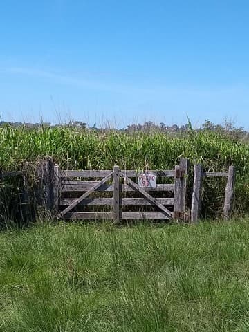 Brasilien riesengrosse 7'400 Ha Farm - Sao Joao do Baliza - Rorai