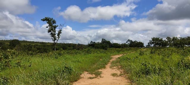 Brasilien 248 HA grosse Rinderfarm und Früchtefarm