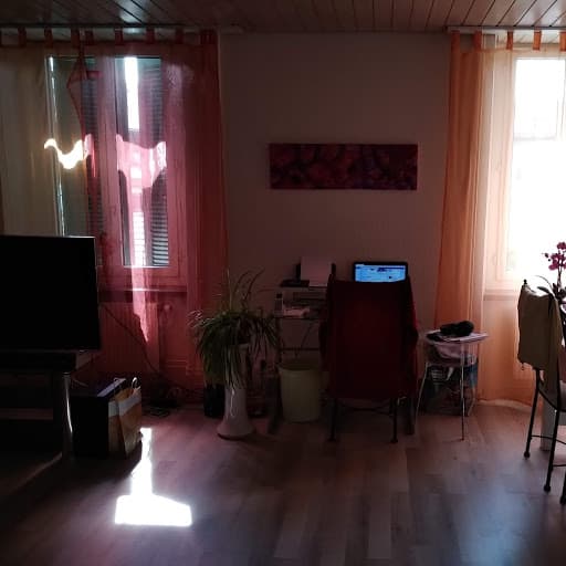 Nachmieter für schöne sonnige 3.5 Zimmer Wohnung au 1.Juli Biel