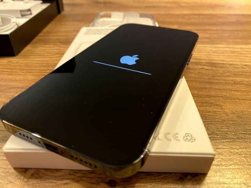 Apple iPhone 12 Pro Max - 256 Go - Bleu Pacifique
