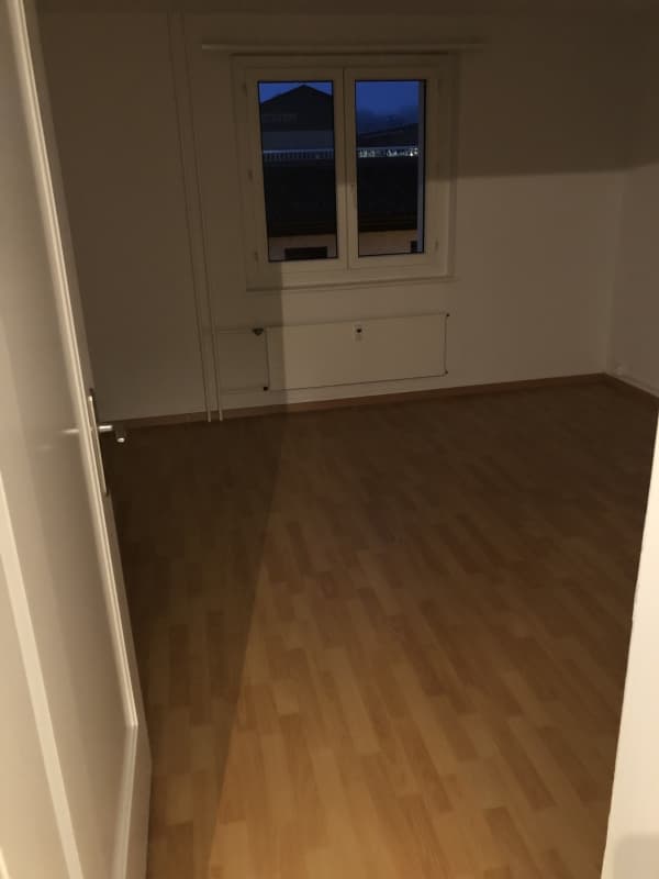 3 Zimmer Wohnung in Hochdorf zu vermieten (Hochparterre)