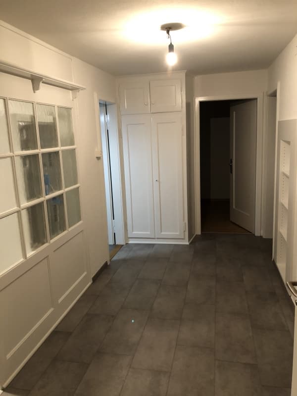 3 Zimmer Wohnung in Hochdorf zu vermieten (Hochparterre)