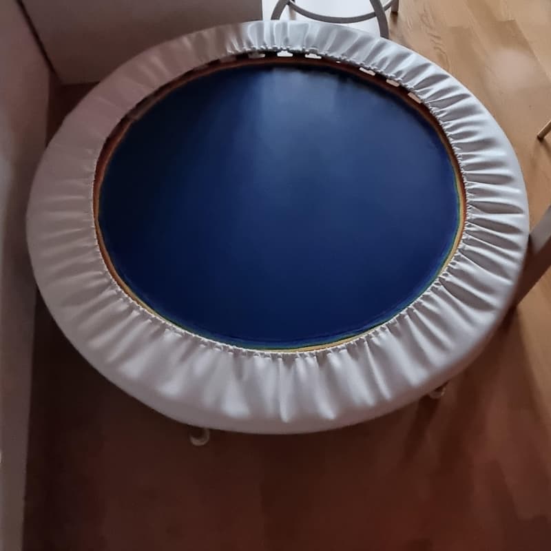 Fitness-Trampolin
