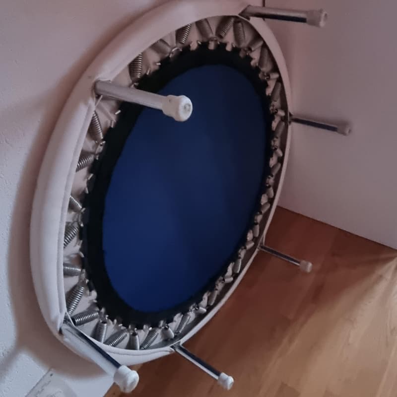Fitness-Trampolin