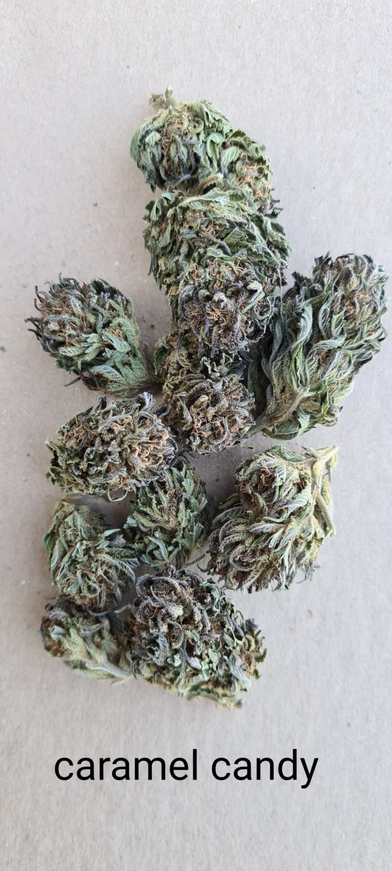 CBD OUTDOORBLÜTEN