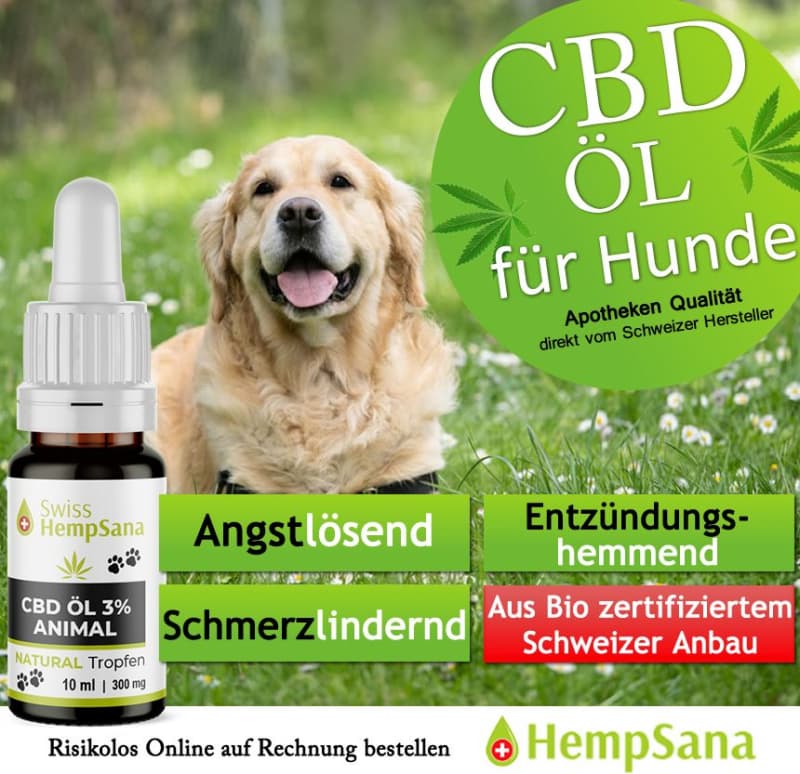 CBD für Hunde