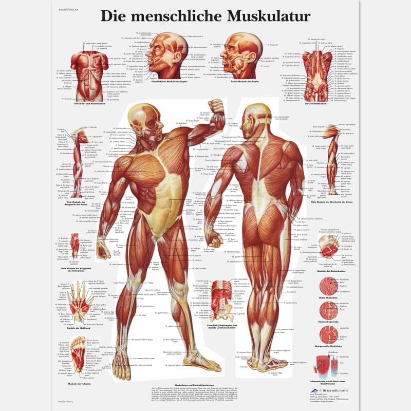 Massage für Männer