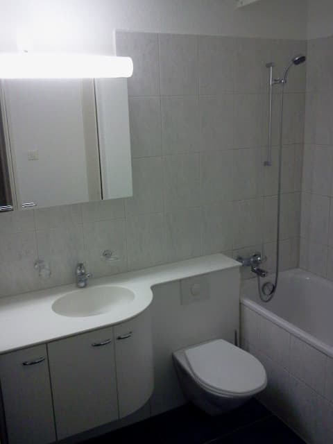 1 Zimmerwohnung in Zürich / Höngg