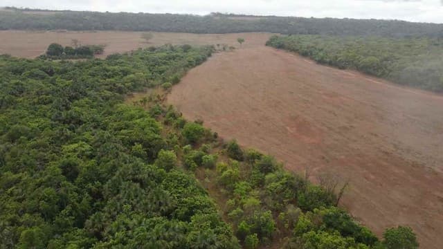 Brasilien 145'198 Ha grosses Grundstück mit Privatsee