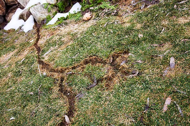 Gartenschädlinge bekämpfen. Ostschweiz u. Liechtenstein.
