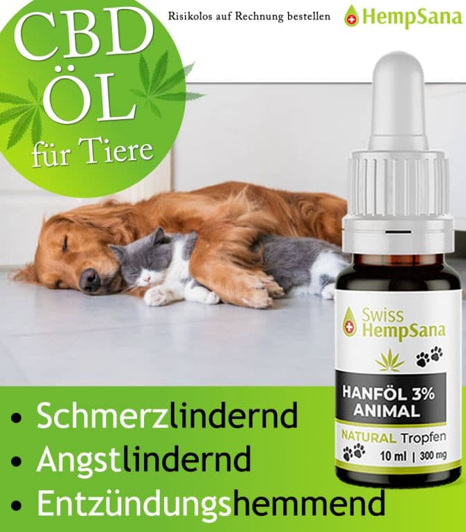 Wie wirkt CBD beim Tieren ?