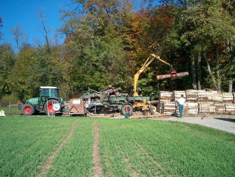 Landwirte erledigen für Sie Baumfällungen und Baumpflege