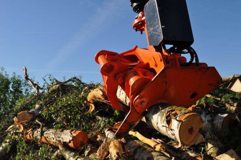Landwirte erledigen für Sie Baumfällungen und Baumpflege