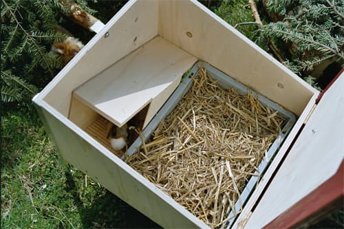 Meerschweinchen-Auslaufgehege