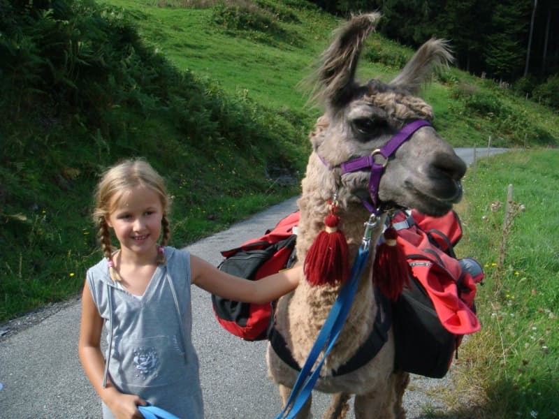 Lamatrekking