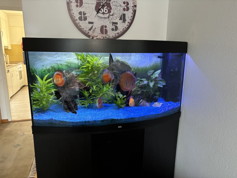 Zu Verkaufen Aquarium RIO 360 LT