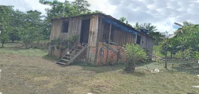 Brasilien 50 Ha grosses Tiefpreis-Grundstück bei Careiro Castanho