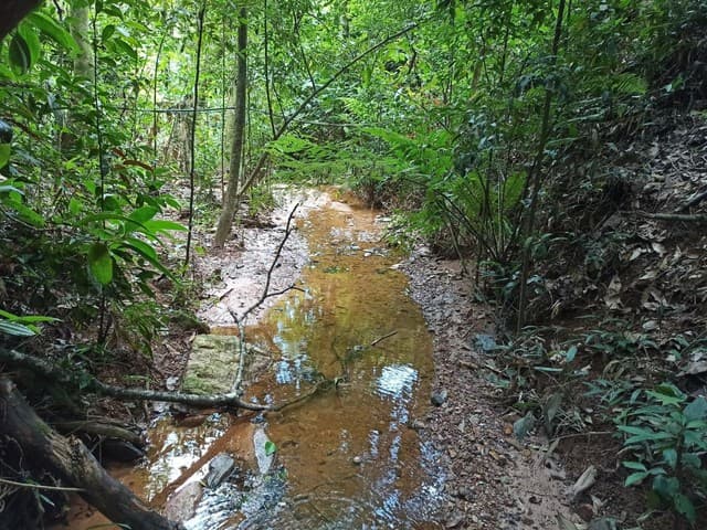 Brasilien 2'368 Ha grosses Grundstück (Goldvorkommen)