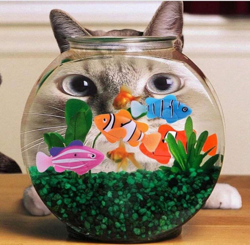 Roboter Fisch Robo Fish Wasser Spielzeug Nemo Wasserspielzeug