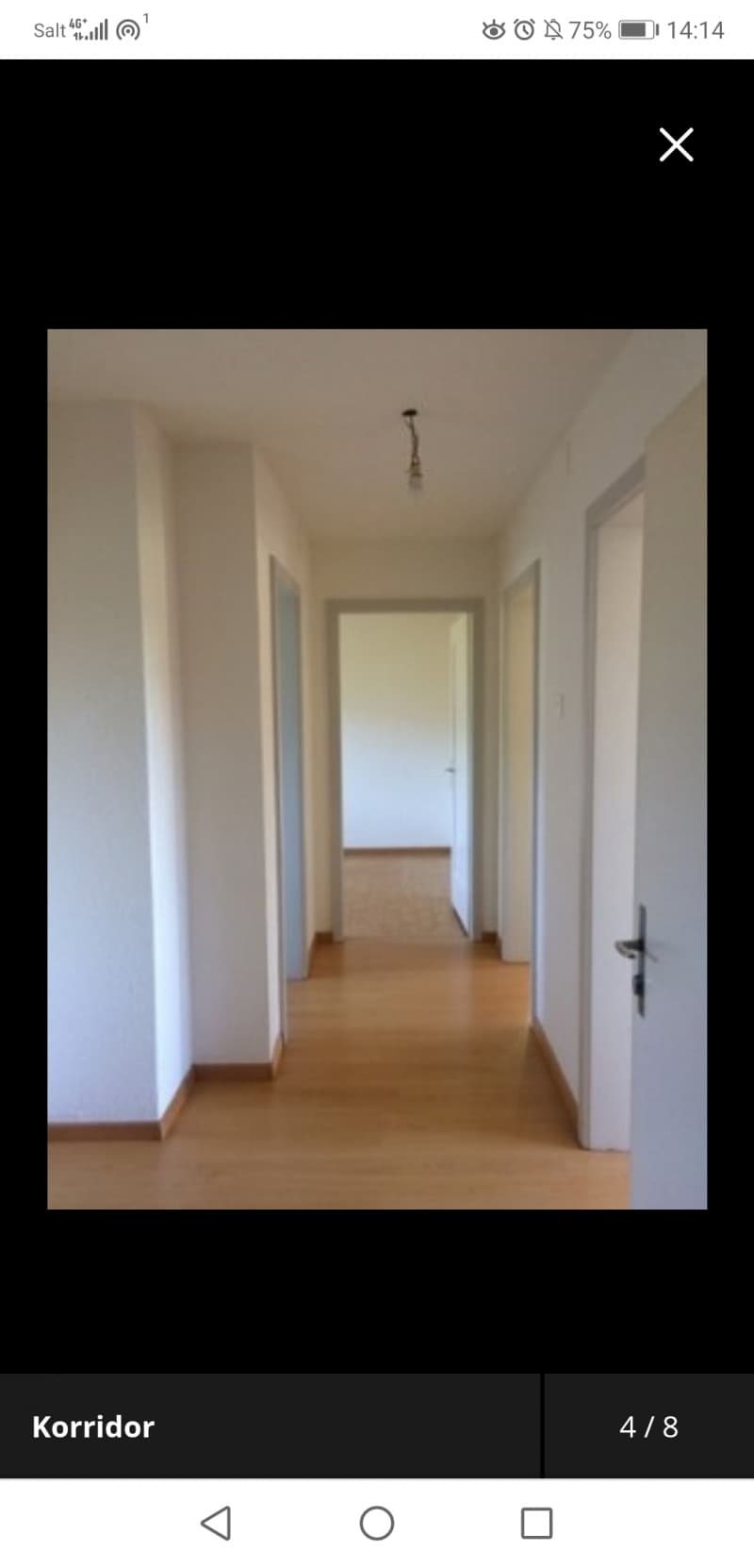 3 Zimmerwohnung im Grünen ab 1. Oktober oder 1. November